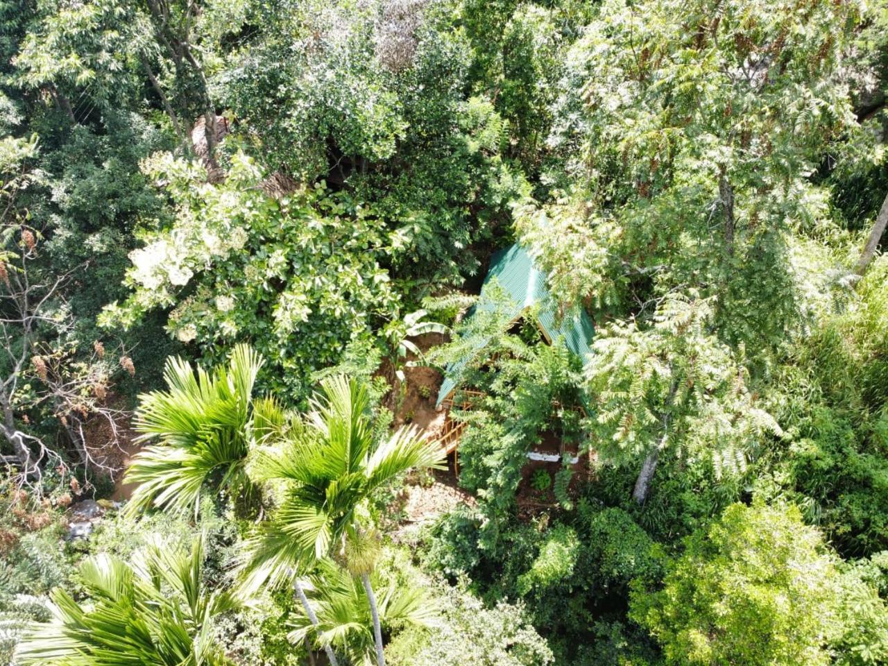 Eco Village Ella Exterior foto