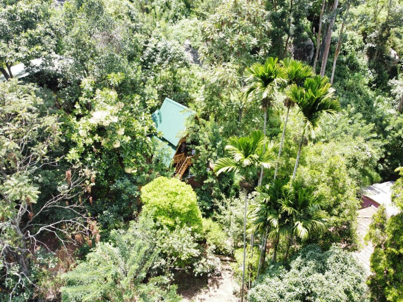 Eco Village Ella Exterior foto